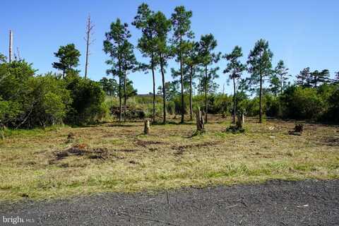 LOT 19E OAK DR, CHINCOTEAGUE ISLAND, VA 23336