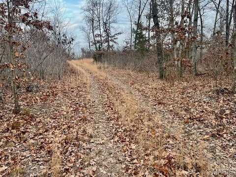 0 125.87 Ac Tract1-A Clear Creek Road, Richwoods, MO 63071