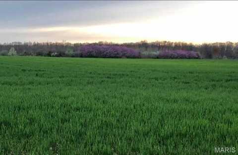 0 Kelley Ln. (50+/- Acres), Jonesburg, MO 63351