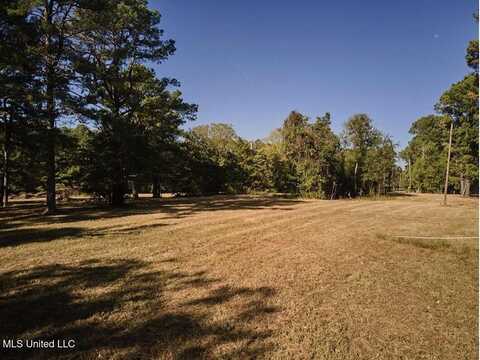 465 Barksdale Road, Brandon, MS 39047