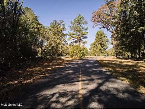 495 Barksdale Road, Brandon, MS 39047