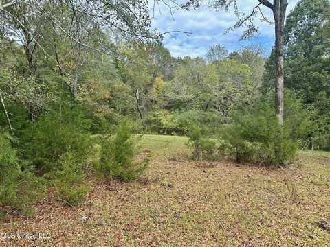 1 Ratliff Ferry Road, Canton, MS 39046