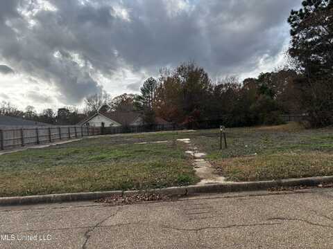 0 Heatherlynn Circle, Clinton, MS 39056