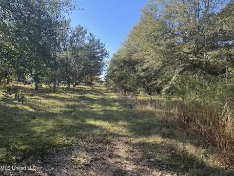 Robert Dubose Road, Lumberton, MS 39455