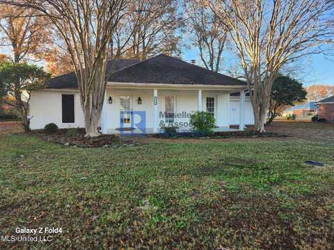 209 Chestnut Drive, Brandon, MS 39047