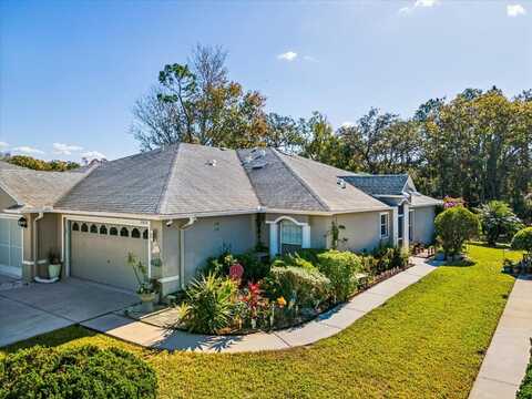 11654 HOLLY ANN DRIVE, NEW PORT RICHEY, FL 34654