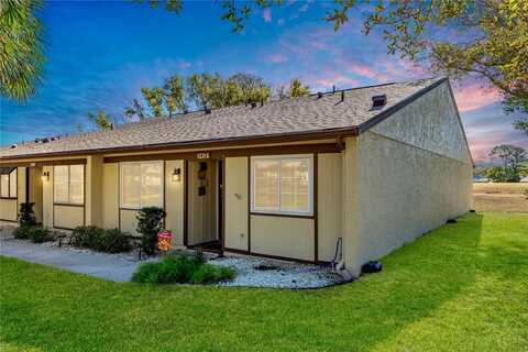 11231 DOLLAR LAKE DRIVE, PORT RICHEY, FL 34668