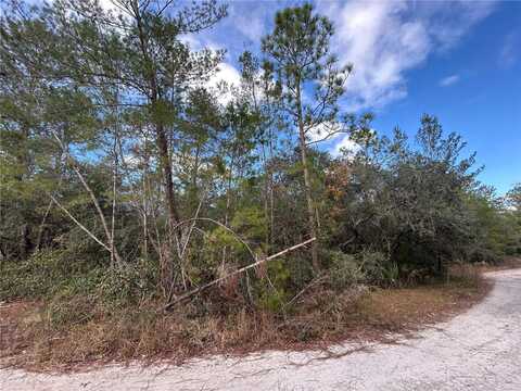 Tbd NE 236 PLACE, FORT MC COY, FL 32134