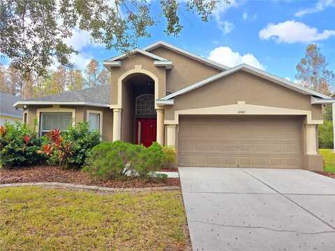 10462 LUCAYA DRIVE, TAMPA, FL 33647