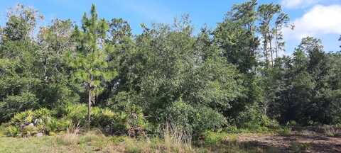 PANDORA DRIVE, INDIAN LAKE ESTATES, FL 33855