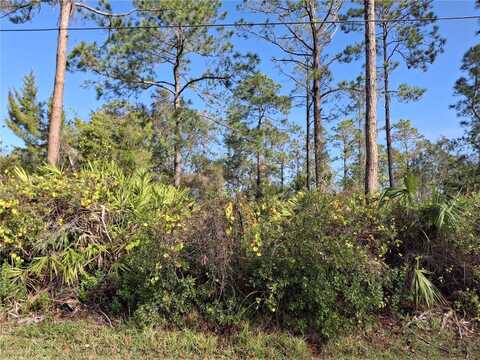 103 WHEATFIELD DRIVE, PALM COAST, FL 32164