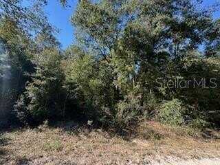 undefined, OCALA, FL 34481