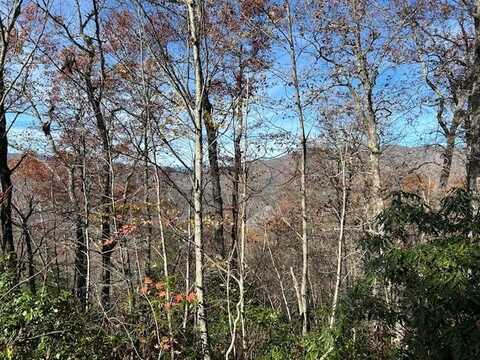 38 MYSTIC RIDGE WAY W, TOPTON, NC 28781