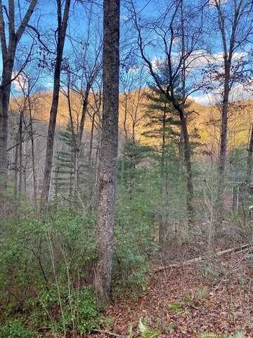 Lot 11 Castlewood, ROBBINSVILLE, NC 28771