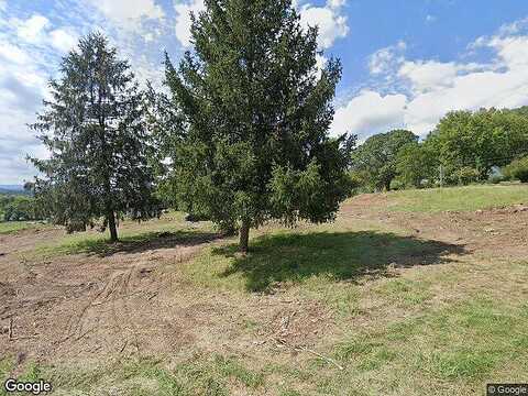 Cherry Tree, BUCHANAN, VA 24066