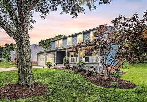Diablo, PITTSBURGH, PA 15241