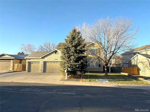 Dexter, THORNTON, CO 80241