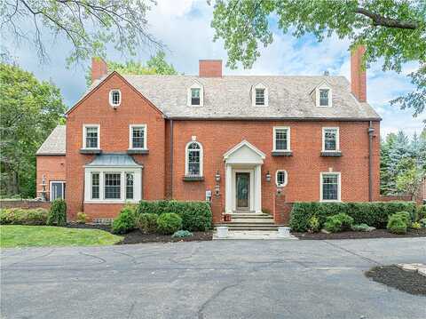 Beau, WASHINGTON, PA 15301