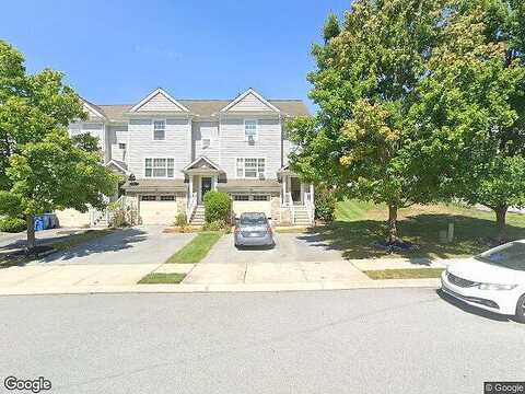 Red Maple, MOUNTVILLE, PA 17554