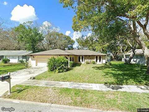Cypress Knee, HUDSON, FL 34667