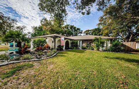 Cypress Knee, HUDSON, FL 34667