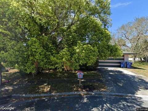 Bottle Brush, PORT RICHEY, FL 34668