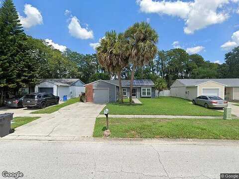 Carrollwood Meadows, TAMPA, FL 33625