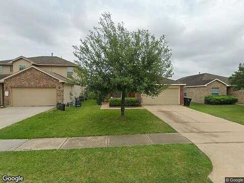 Dappled Filly, TOMBALL, TX 77375