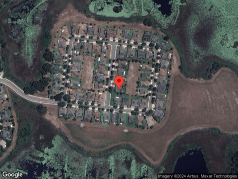 Mist Flower, GROVELAND, FL 34736