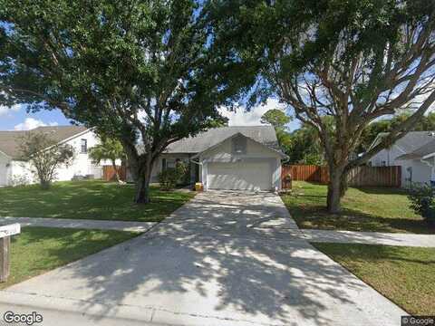 Sand Pine, ROYAL PALM BEACH, FL 33411