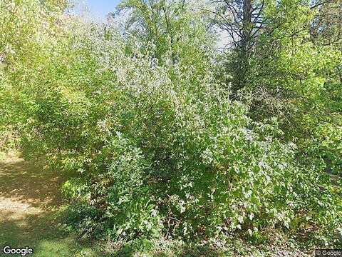 Inwood, FOREST LAKE, MN 55025