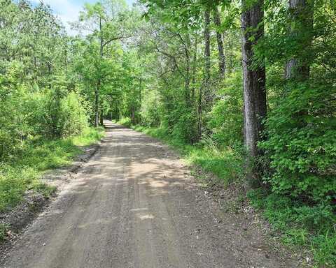 County Road 3709, Colmesneil, TX 75938