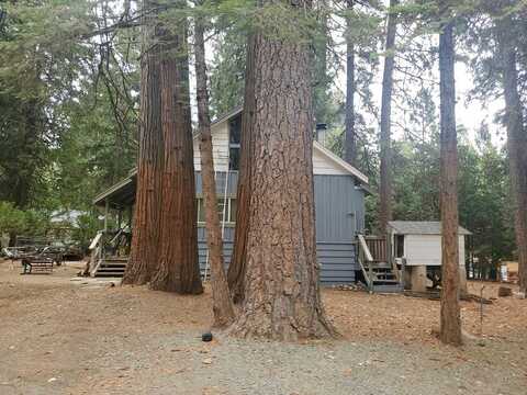 Madrone, PIONEER, CA 95666