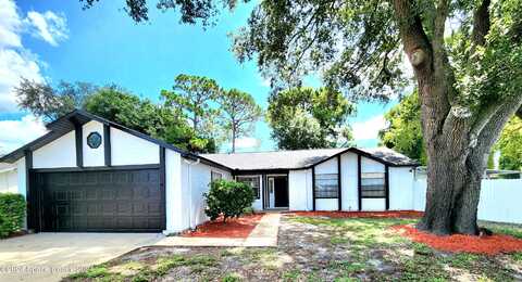 Pine Valley, ROCKLEDGE, FL 32955