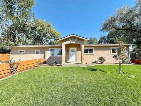 Appaloosa, GRAND JUNCTION, CO 81504