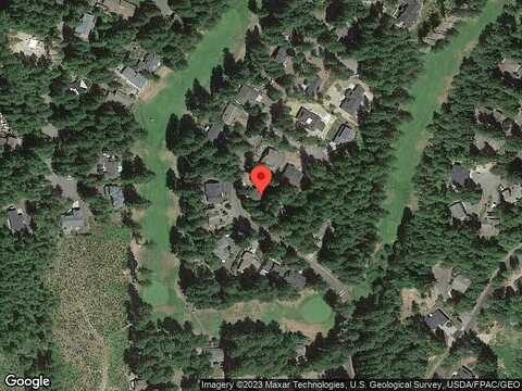 Vine Maple, UNION, WA 98592