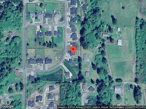 Coyote, MONTESANO, WA 98563