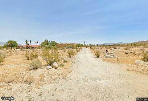 Verbena, BORREGO SPRINGS, CA 92004