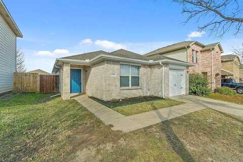 Wax Berry, DALLAS, TX 75249