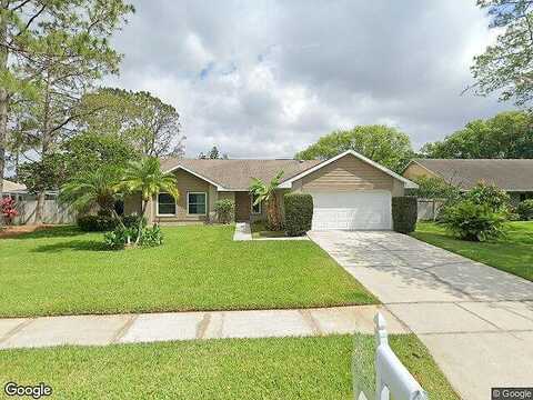 Interlake, TAMPA, FL 33624