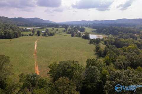 551 Acres County Road 530, Collinsville, AL 35960