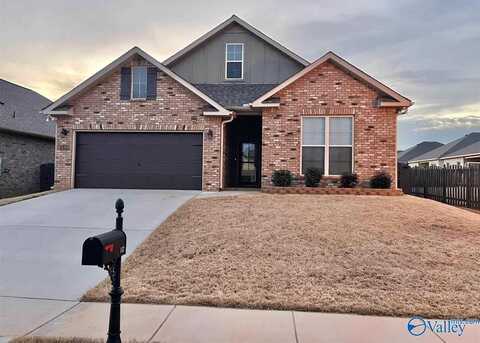 132 Princewater Drive, Madison, AL 35756