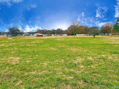 1 Mill Road SW, Decatur, AL 35603