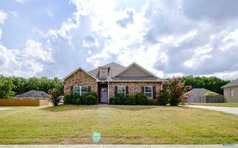 108 Birch Falls Drive, Hazel Green, AL 35750