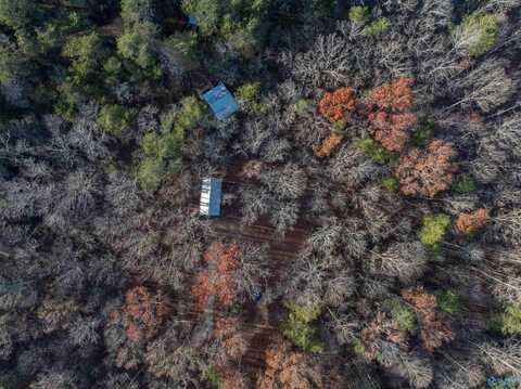 249 County Road 165, Mentone, AL 35984