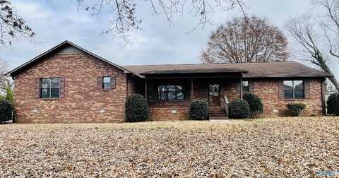 1015 Daisy Street, Albertville, AL 35950