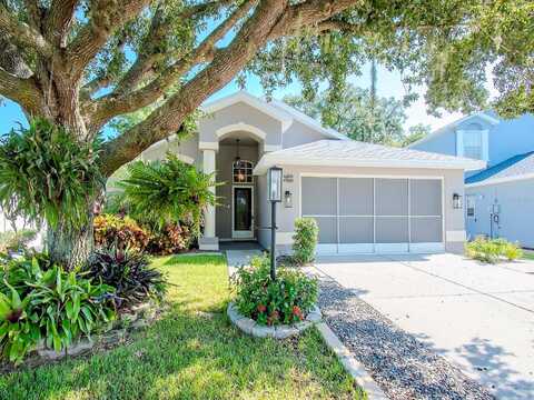 Tee Time, NEW PORT RICHEY, FL 34654