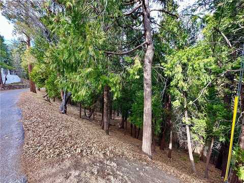 291 Hillside Road, Lake Arrowhead, CA 92352