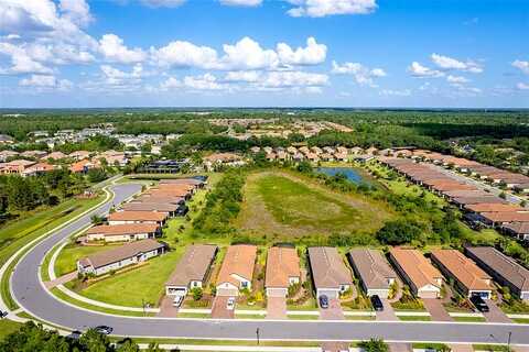 Callisto Hill, TAMPA, FL 33647