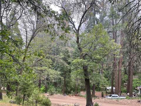 628 Burnt Mill Canyon Road, Cedarpines Park, CA 92322